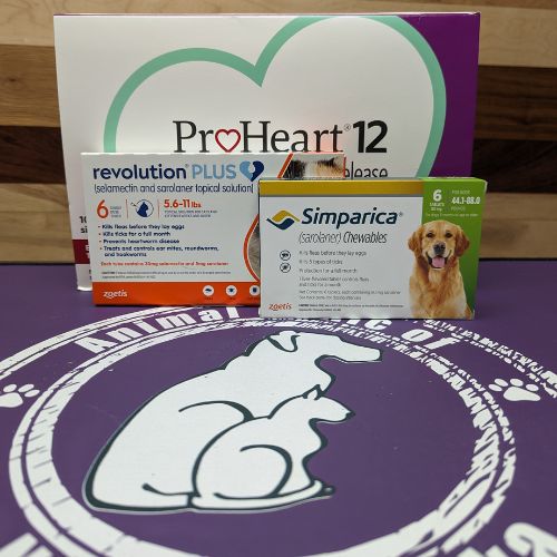 proheart 12 medicines box