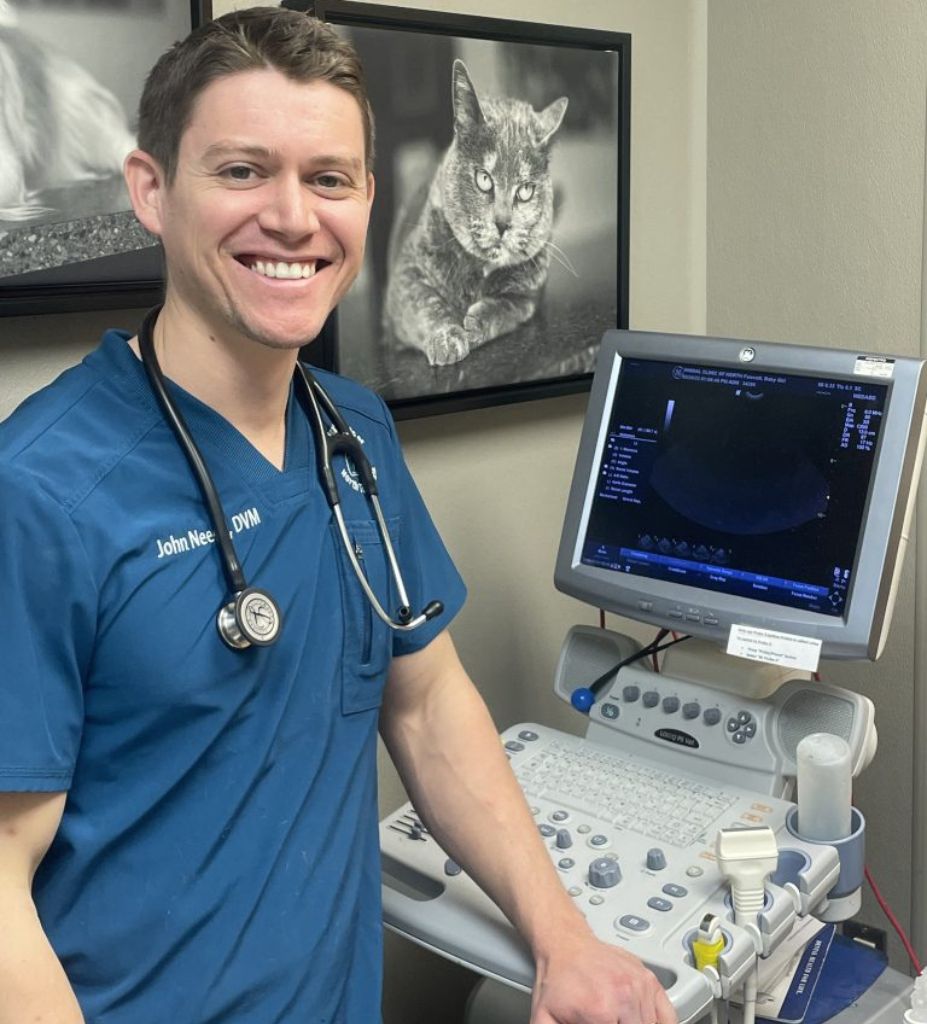 vet standing next to an ultrasound machine