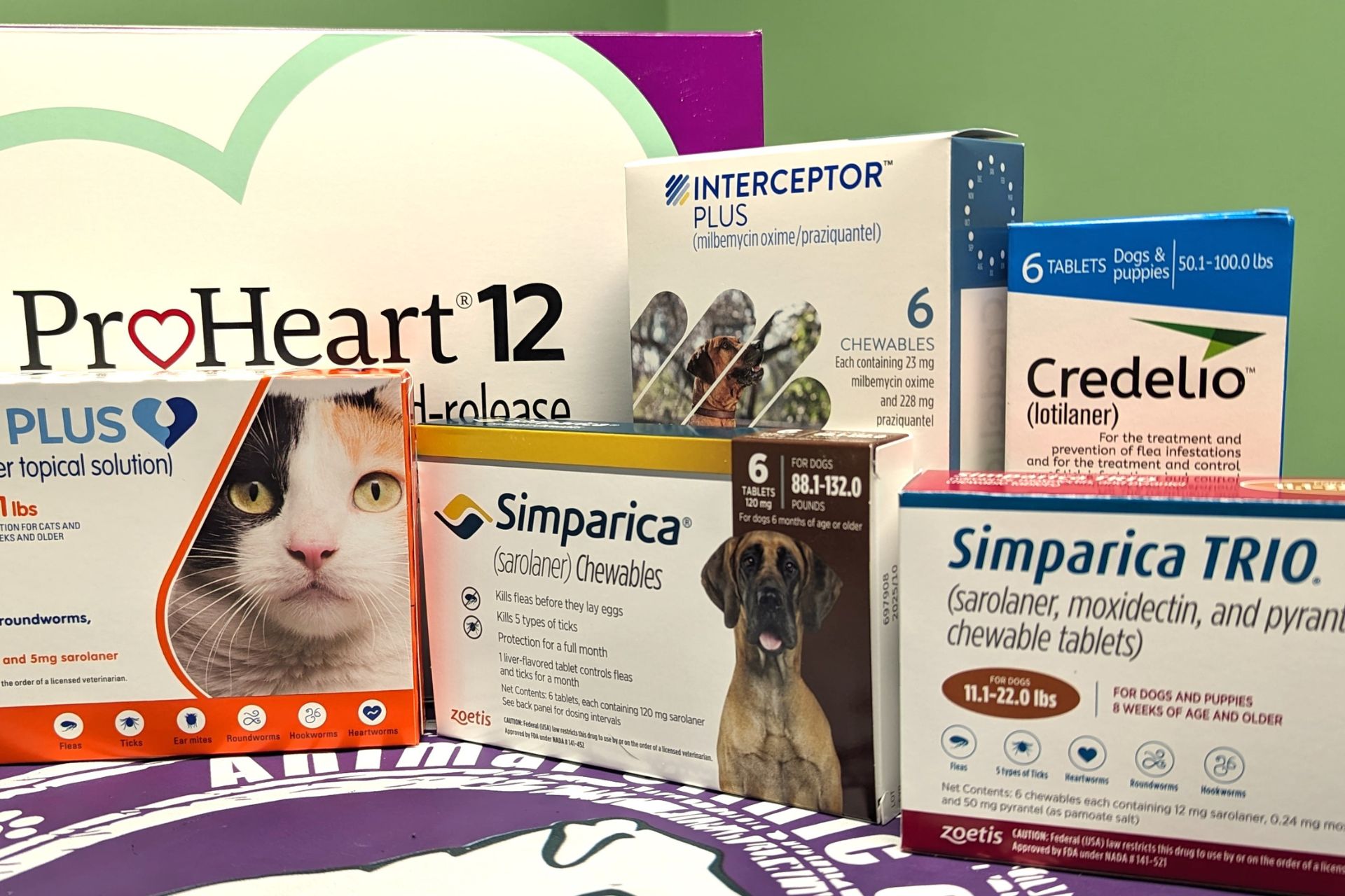 Best heartworm and flea prevention best sale